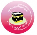 I have good Adaab badge (pink - 5pk)
